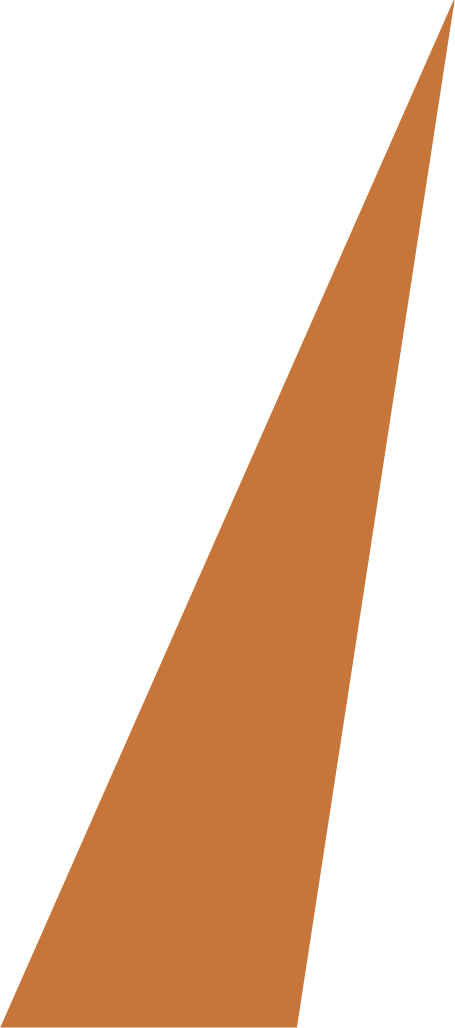 Vector 4